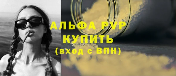 ешки Бородино