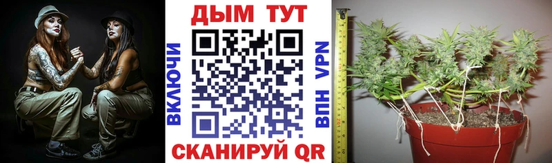 мега онион где можно купить наркотик Бронницы Каннабис OG Kush